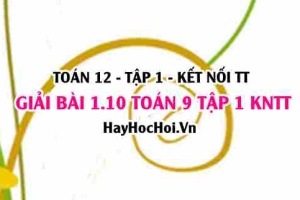 Giải 1.10 Toán 12 tập 1 SGK Kết nối tri thức